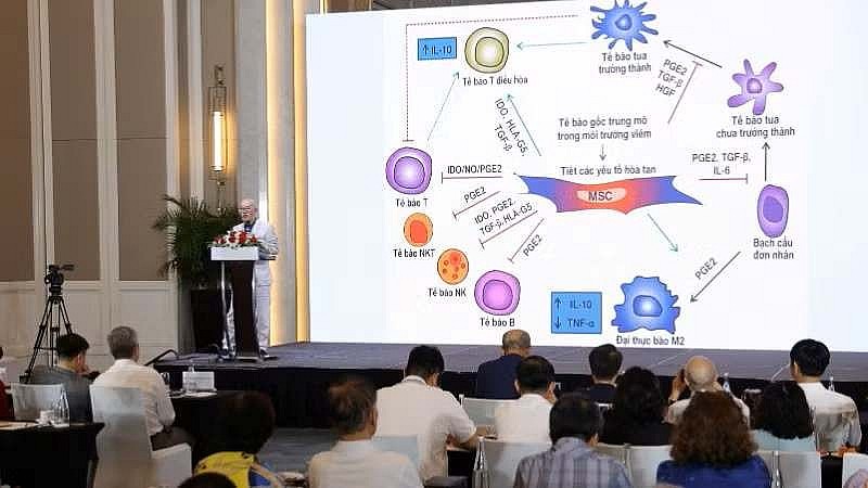 Tế bào gốc không phải "phép màu" có thể chữa mọi bệnh Tế bào gốc không phải "phép màu" có thể chữa mọi bệnh