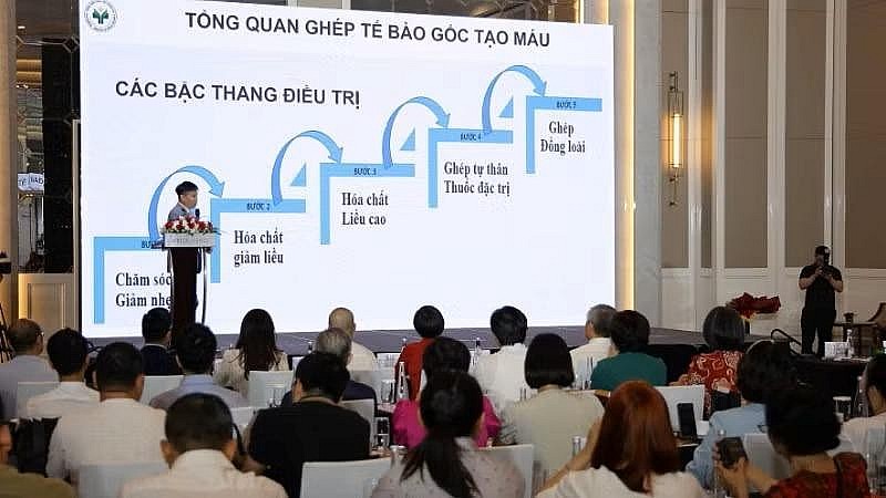 Tế bào gốc không phải "phép màu" có thể chữa mọi bệnh Tế bào gốc không phải "phép màu" có thể chữa mọi bệnh