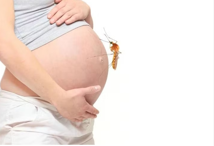 Muỗi có chọn người để đốt?