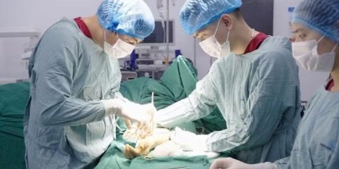 Bảo tồn thành công cầu nối AVF sau 11 năm cho người bệnh chạy thận có nhiều túi phình khổng lồ