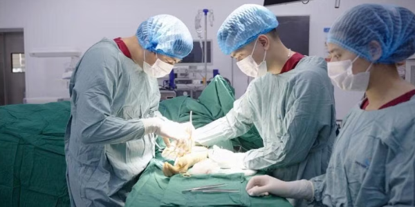 Bảo tồn thành công cầu nối AVF sau 11 năm cho người bệnh chạy thận có nhiều túi phình khổng lồ