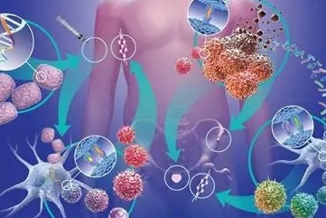 Phát hiện sớm ung thư dạ dày dù tuổi cao vẫn có cơ hội điều trị