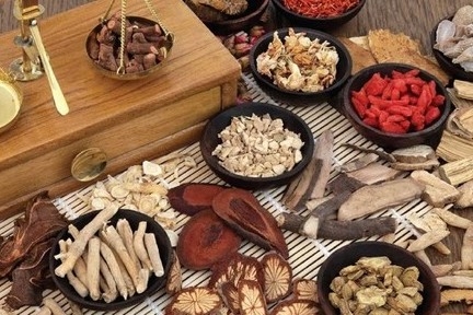 Phát huy giá trị y dược cổ truyền