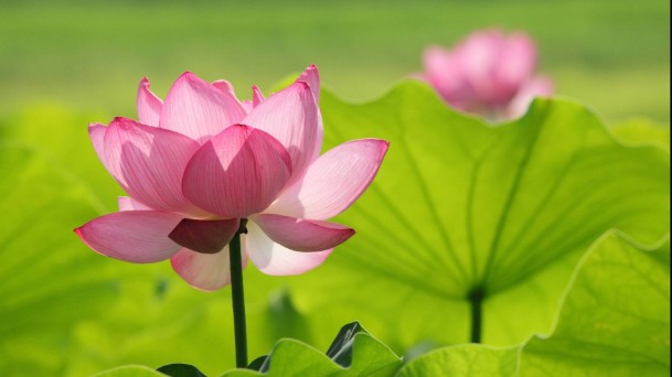 Dự báo thời tiết ngày 15/8/2026: Bắc Bộ nhiều mây, có lúc có mưa rào và dông rải rác
