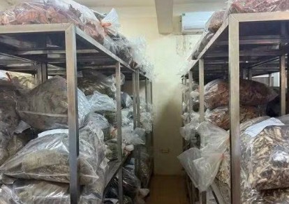 Ngăn chặn tình trạng kinh doanh dược liệu không rõ nguồn gốc