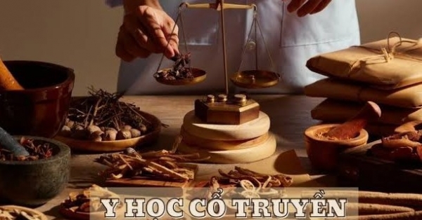 Hướng tới kiến tạo hệ sinh thái y học cổ truyền quốc gia
