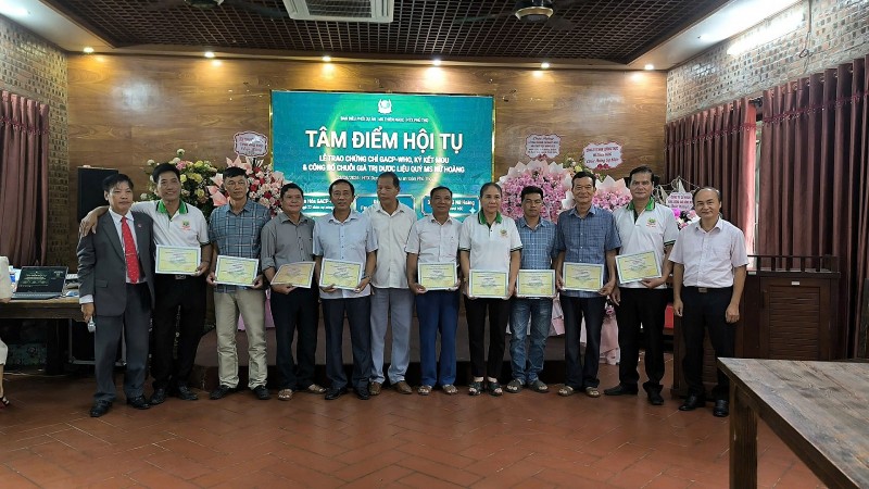 Phú Thọ: Kết nối các nguồn lực phát triển chuỗi giá trị dược liệu MS Nữ Hoàng