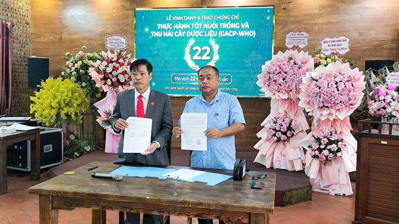 Phú Thọ: Kết nối các nguồn lực phát triển chuỗi giá trị dược liệu MS Nữ Hoàng