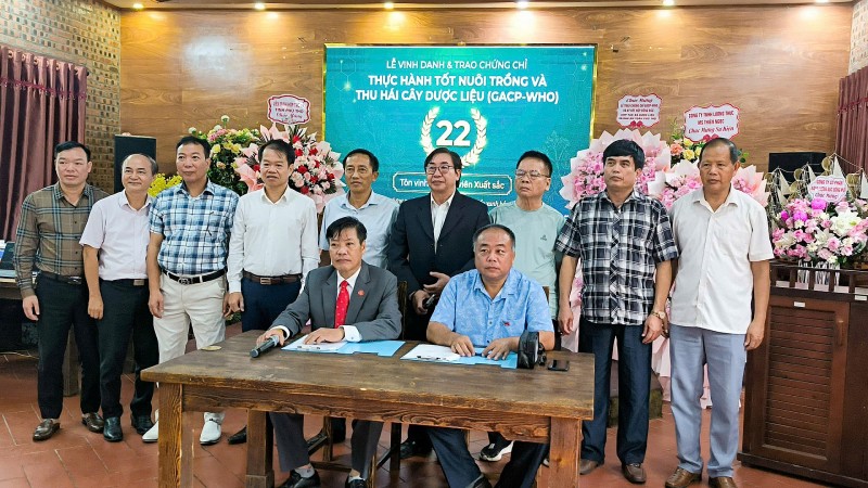 Phú Thọ: Kết nối các nguồn lực phát triển chuỗi giá trị dược liệu MS Nữ Hoàng