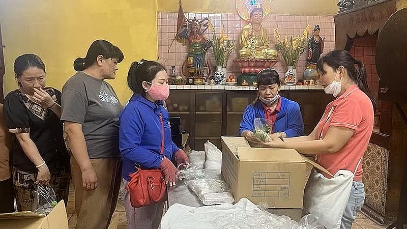 Tháng 7 thăm “nhà thương” có hệ sinh thái ngập tràn thương yêu Tháng 7 thăm “nhà thương” có hệ sinh thái ngập tràn thương yêu