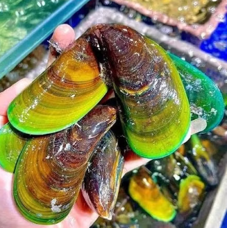 Gai đốt sống thắt lưng - Khi nào cần phẫu thuật? Gai đốt sống thắt lưng - Khi nào cần phẫu thuật?