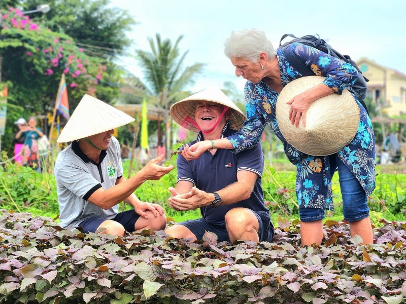 Kỳ II: Y học cổ truyền - Từ tiềm năng y tế nội sinh đến lợi thế cạnh tranh quốc gia
