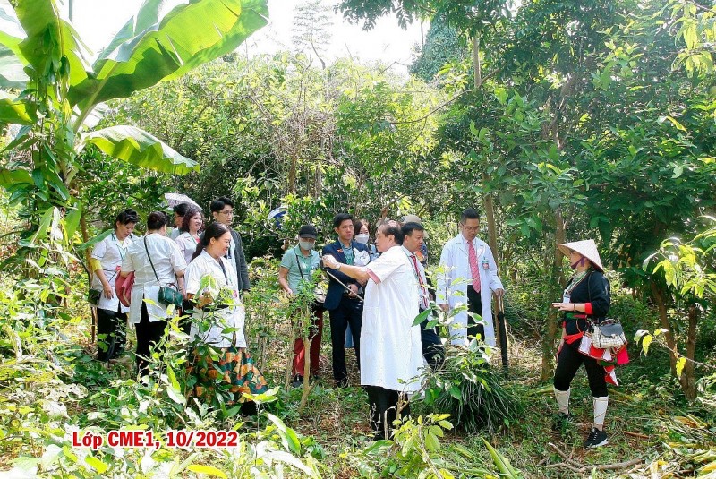 Phát Triển Nam Y, Nam Dược Theo Tư Tưởng Hồ Chí Minh Và Nghị Quyết 72-NQ/TW Phát Triển Nam Y, Nam Dược Theo Tư Tưởng Hồ Chí Minh Và Nghị Quyết 72-NQ/TW