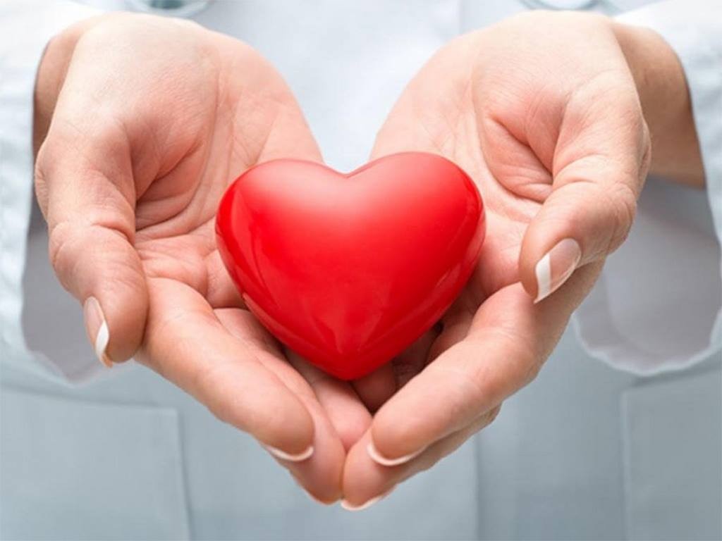 Hải Thượng y tông tâm lĩnh: Công trình để đời của Hải Thượng Lãn Ông Hải Thượng y tông tâm lĩnh: Công trình để đời của Hải Thượng Lãn Ông