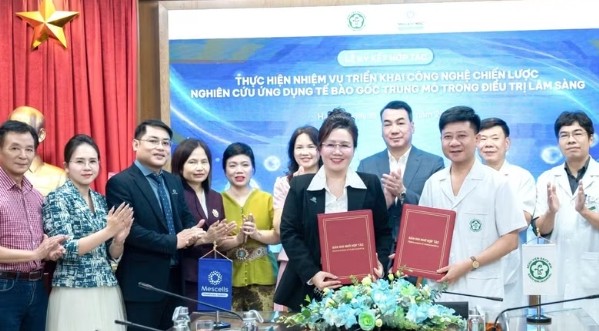 Hợp tác nghiên cứu ứng dụng tế bào gốc trung mô trong điều trị lâm sàng
