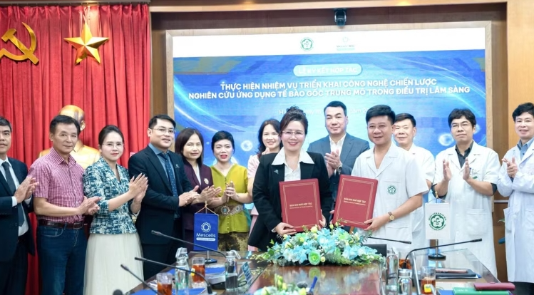 Hợp tác nghiên cứu ứng dụng tế bào gốc trung mô trong điều trị lâm sàng Hợp tác nghiên cứu ứng dụng tế bào gốc trung mô trong điều trị lâm sàng