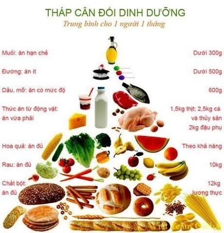 Tháp cân đối dinh dưỡng người cao tuổi cần biết Tháp cân đối dinh dưỡng người cao tuổi cần biết