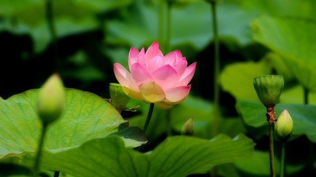 Dự báo thời tiết ngày 21/9/2026: Bắc Bộ  nhiều mây, có mưa rào và dông rải rác