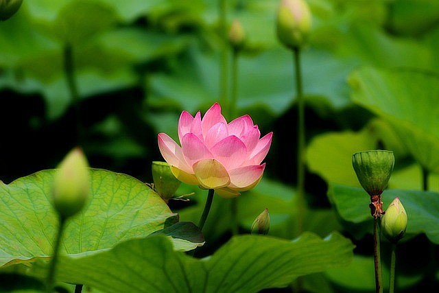 Dự báo thời tiết Hà Nội ngày 21/9/2026: Trời nhiều mây, nền nhiệt giảm Dự báo thời tiết Hà Nội ngày 21/9/2026: Trời nhiều mây, nền nhiệt giảm