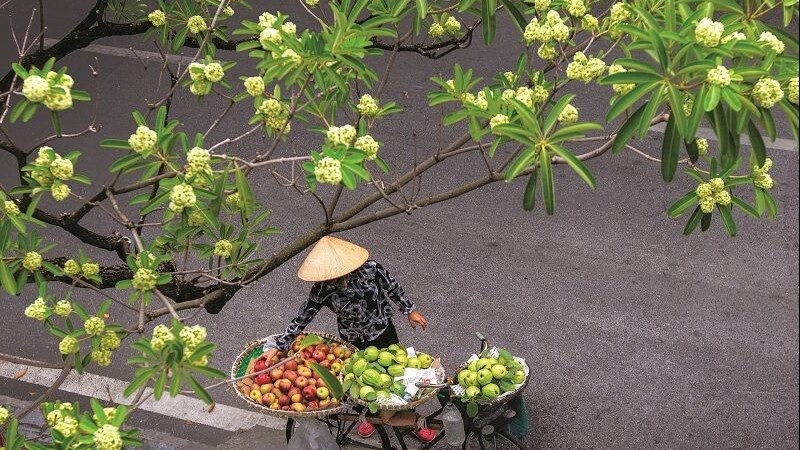 Dự báo thời tiết ngày 22/9/2026: Bắc Bộ ban ngày nhiều mây, có nắng