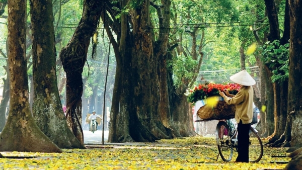Dự báo thời tiết đêm nay và ngày mai 23/9: Bắc Bộ ngày nắng, gió nhẹ.