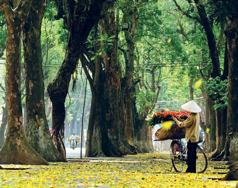 Dự báo thời tiết đêm nay và ngày mai 23/9: Hà Nội và các khu vực trên cả nước Dự báo thời tiết đêm nay và ngày mai 23/9: Hà Nội và các khu vực trên cả nước