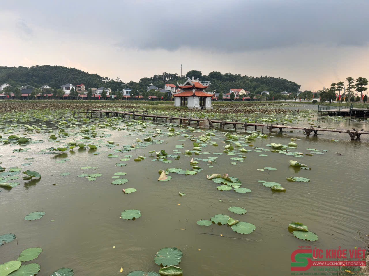 Côn Sơn – Kiếp Bạc sẵn sàng cho Lễ hội mùa thu 2026: Trang nghiêm, hào hùng và rạng rỡ sắc màu Di sản Côn Sơn – Kiếp Bạc sẵn sàng cho Lễ hội mùa thu 2026: Trang nghiêm, hào hùng và rạng rỡ sắc màu Di sản