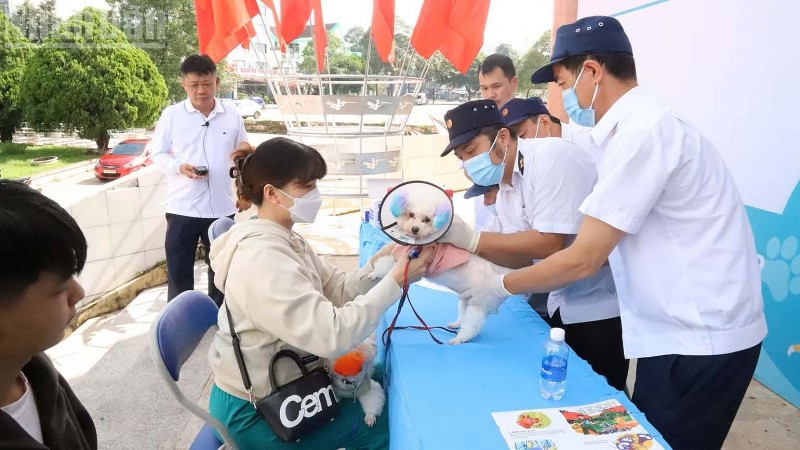 Chung tay vì mục tiêu đến năm 2030, Việt Nam sẽ không còn người tử vong do bệnh dại Chung tay vì mục tiêu đến năm 2030, Việt Nam sẽ không còn người tử vong do bệnh dại