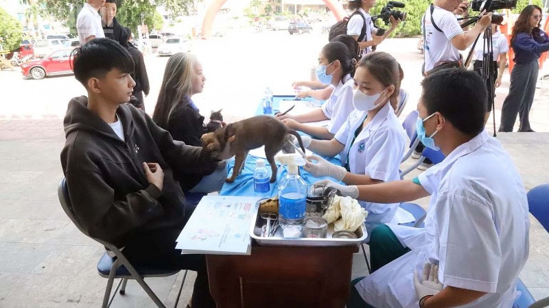 Chung tay vì mục tiêu đến năm 2030, Việt Nam sẽ không còn người tử vong do bệnh dại Chung tay vì mục tiêu đến năm 2030, Việt Nam sẽ không còn người tử vong do bệnh dại