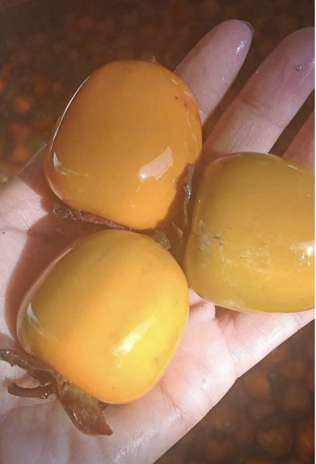Quả hồng chứa nhiều thành phần như cryptoxanthin, lutein, vitamin A, lycopene và beta-carotene, được biết đến với đặc tính chống oxy hóa cao. Ảnh: Ngọc Hà. Quả hồng chứa nhiều thành phần như cryptoxanthin, lutein, vitamin A, lycopene và beta-carotene, được biết đến với đặc tính chống oxy hóa cao. Ảnh: Ngọc Hà.