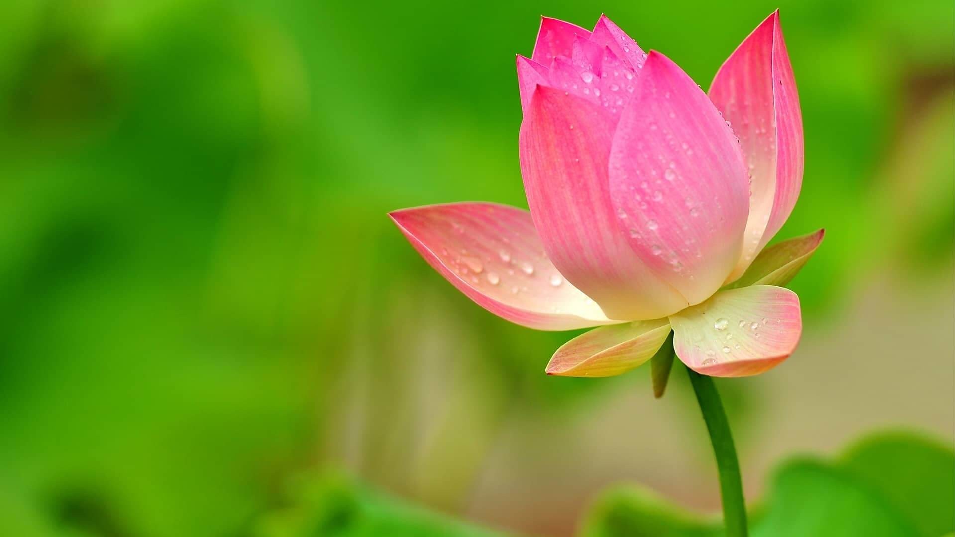 Dự báo thời tiết  ngày 7/10/2026: Bắc Bộ ngày nắng, gió nhẹ