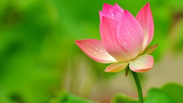 Dự báo thời tiết  ngày 7/10/2026: Bắc Bộ ngày nắng, gió nhẹ