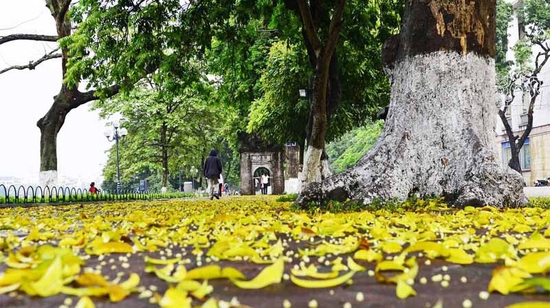 Dự báo thời tiết ngày 17/10/2026: Đêm không mưa, ngày nắng, gió nhẹ