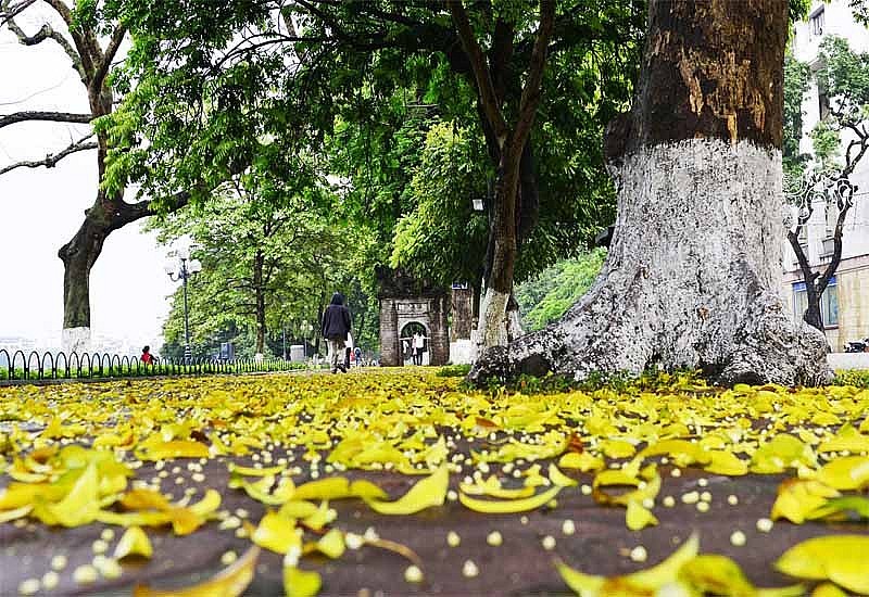 Dự báo thời tiết Hà Nội ngày 17/10/2026: Đêm không mưa, ngày nắng, gió nhẹ Dự báo thời tiết Hà Nội ngày 17/10/2026: Đêm không mưa, ngày nắng, gió nhẹ