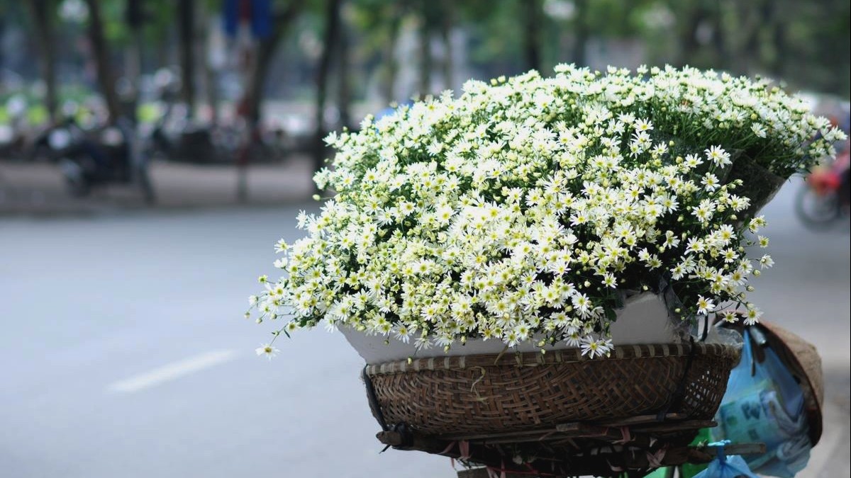 Dự báo thời tiết  ngày 19/10/2026: Sáng sớm có sương mù, ngày nắng