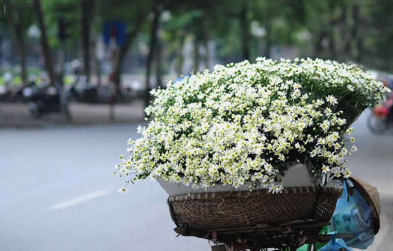 Dự báo thời tiết Hà Nội ngày 19/10/2026: Sáng sớm có sương mù, ngày nắng