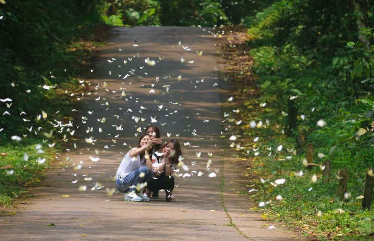 Cẩm nang Du lịch Ninh Bình - Từ miền di sản đến sắc biển và những miền quê bình yên