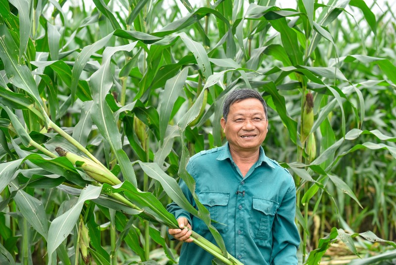 Hành trình phát triển bền vững tại Vinamilk: Từ những thay đổi nhỏ đến tác động lớn hơn cho cộng đồng Hành trình phát triển bền vững tại Vinamilk: Từ những thay đổi nhỏ đến tác động lớn hơn cho cộng đồng