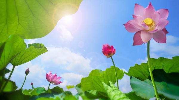 Dự báo thời tiết ngày 25/10/2026: Bắc Bộ ngày nắng, gió nhẹ