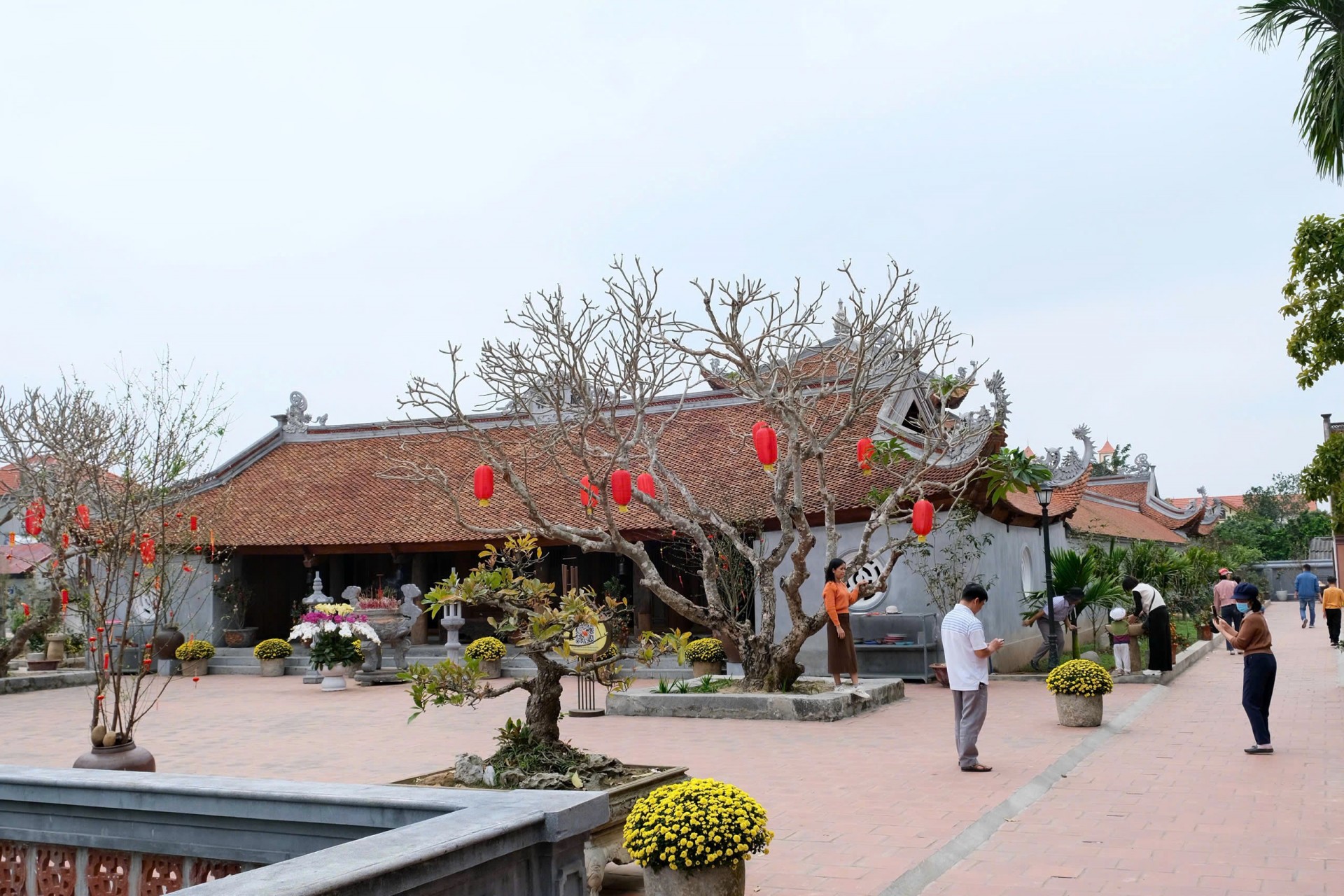 Khu di tích thờ Thiền sư Tuệ Tĩnh - Theo dấu danh y, tìm về di sản Nam y