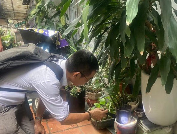 Triển khai các chiến dịch vệ sinh môi trường diệt bọ gậy, phun hóa chất diệt muỗi để phòng bệnh sốt xuất huyết