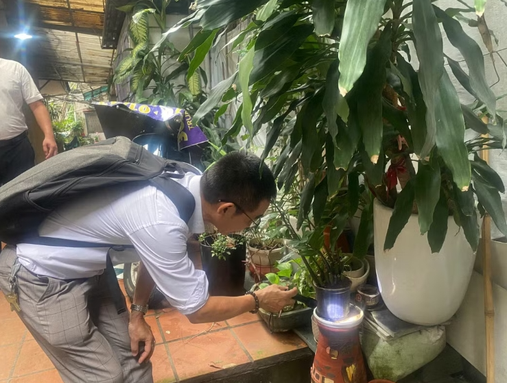 Triển khai các chiến dịch vệ sinh môi trường diệt bọ gậy, phun hóa chất diệt muỗi để phòng bệnh sốt xuất huyết