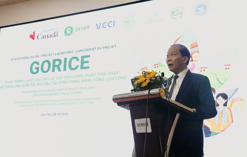 Hướng tới chuỗi giá trị lúa gạo chất lượng cao, phát thải thấp, bền vững và bao trùm tại Đồng bằng sông Cửu Long