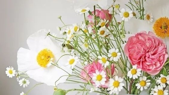 Tử vi 12 con giáp ngày 01-3-2023: Tuổi Mão tình duyên khởi sắc, tuổi Ngọ nhiều áp lực