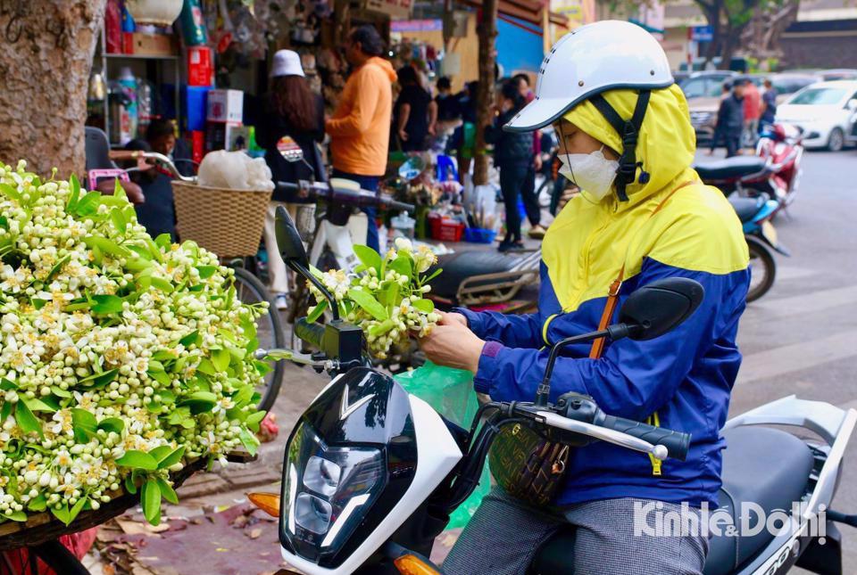 Bản tin thời tiết ngày 14-3-2023: Hà Nội không mưa, đêm và sáng trời rét