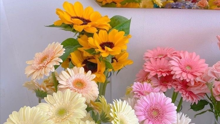Tử vi 12 con giáp ngày 11-4-2023: Tuổi Dậu tài lộc rực rỡ, tuổi Thân bất ổn