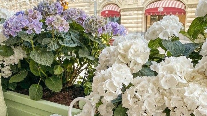 Tử vi 12 con giáp ngày 12-4-2023: Tuổi Ngọ khá may mắn, tuổi Thân có người chơi xấu
