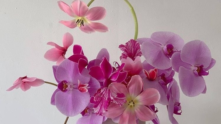 Tử vi 12 con giáp ngày 14-4-2023: Tuổi Tý cần thận mất tiền, tuổi Ngọ cơ hội kiếm tiền