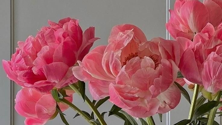 Tử vi 12 con giáp ngày 15-4-2023: Tuổi Sửu kém may mắn, tuổi Thìn công việc thăng tiến