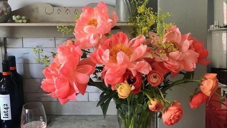 Tử vi 12 con giáp ngày 17-4-2023: Tuổi Dần kiêu ngạo, tuổi Thìn cơ hội kinh doanh